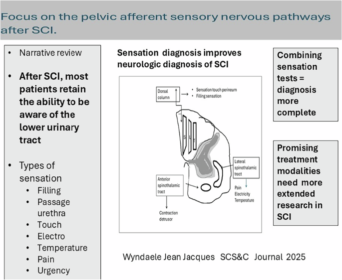 Focus on afferent sensory nervous pathways of the lower urinary tract after SCI. Tribute to Sir Ludwig Guttmann