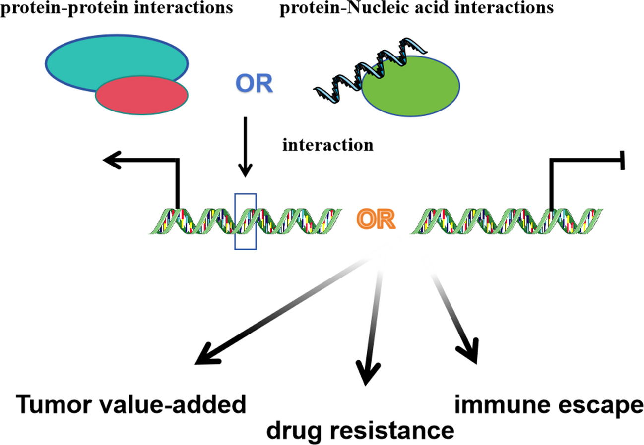 Research progress on cancer-related epigenetic switches