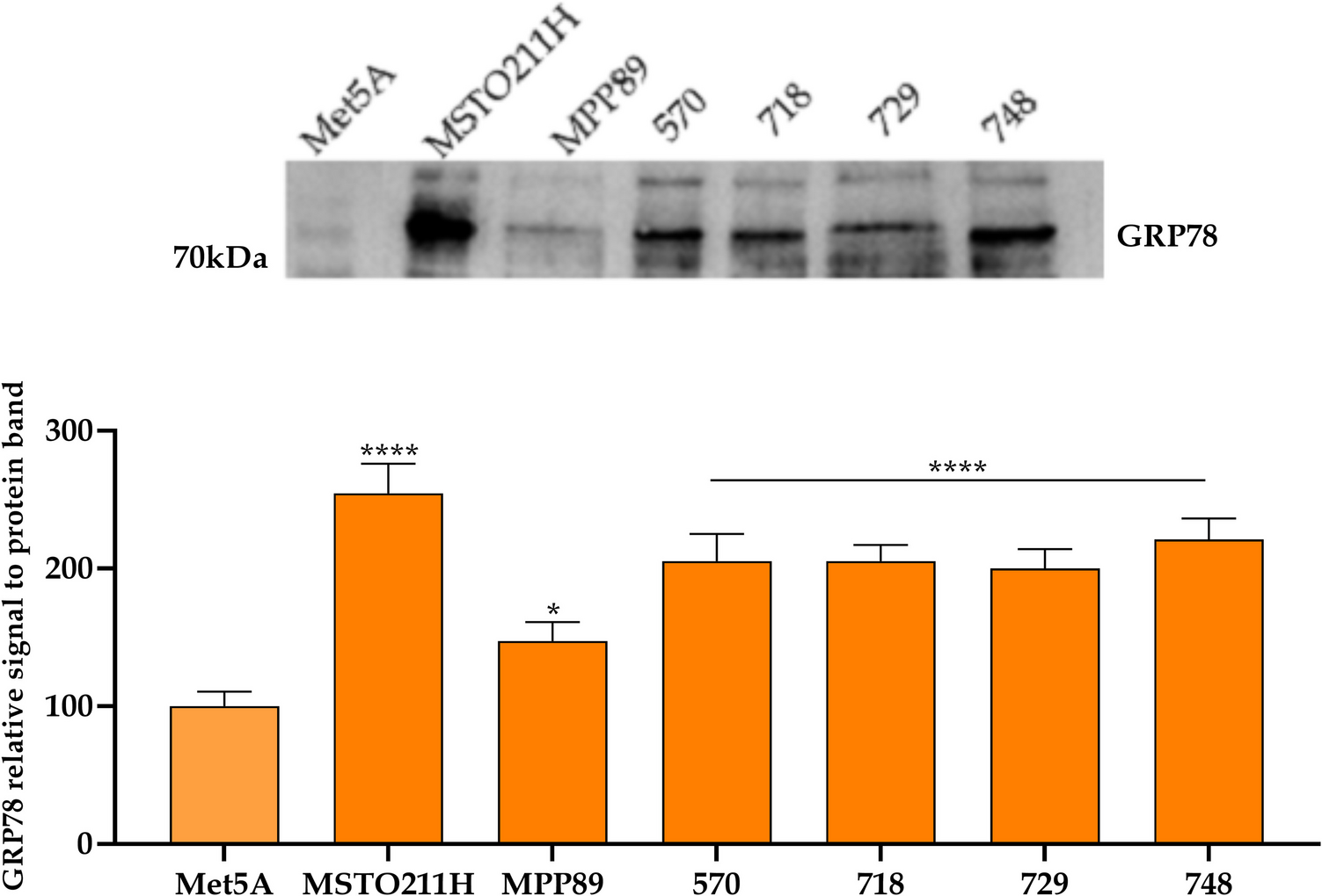 Unraveling BOLD-100 synergistic potential in pleural mesothelioma treatment: an in vitro study