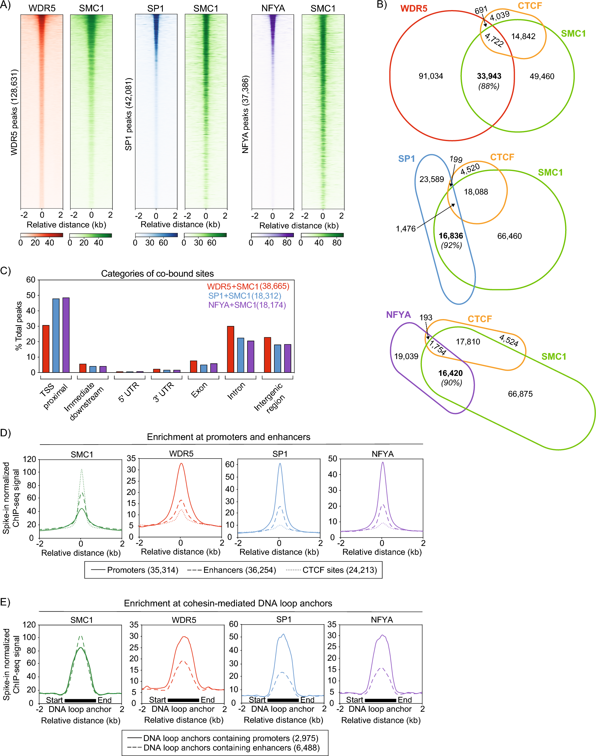 Cohesin stabilization at promoters and enhancers by common transcription factors and chromatin regulators