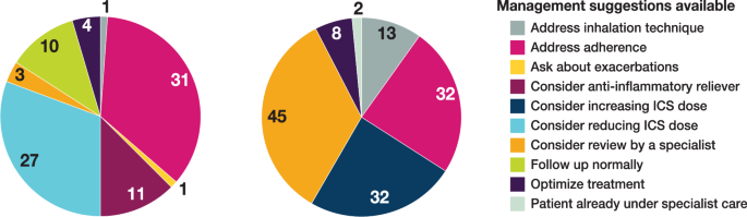 Asthma control and opportunities to optimize management and the healthcare provider experience using the AsthmaOptimiser online tool in Dutch general practice: the CAPTURE study