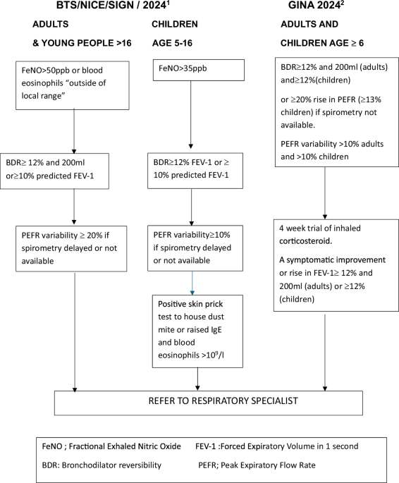 BTS/NICE/SIGN guideline for asthma 2024: Diagnosis, monitoring and chronic asthma management. How does this compare to GINA 2024?
