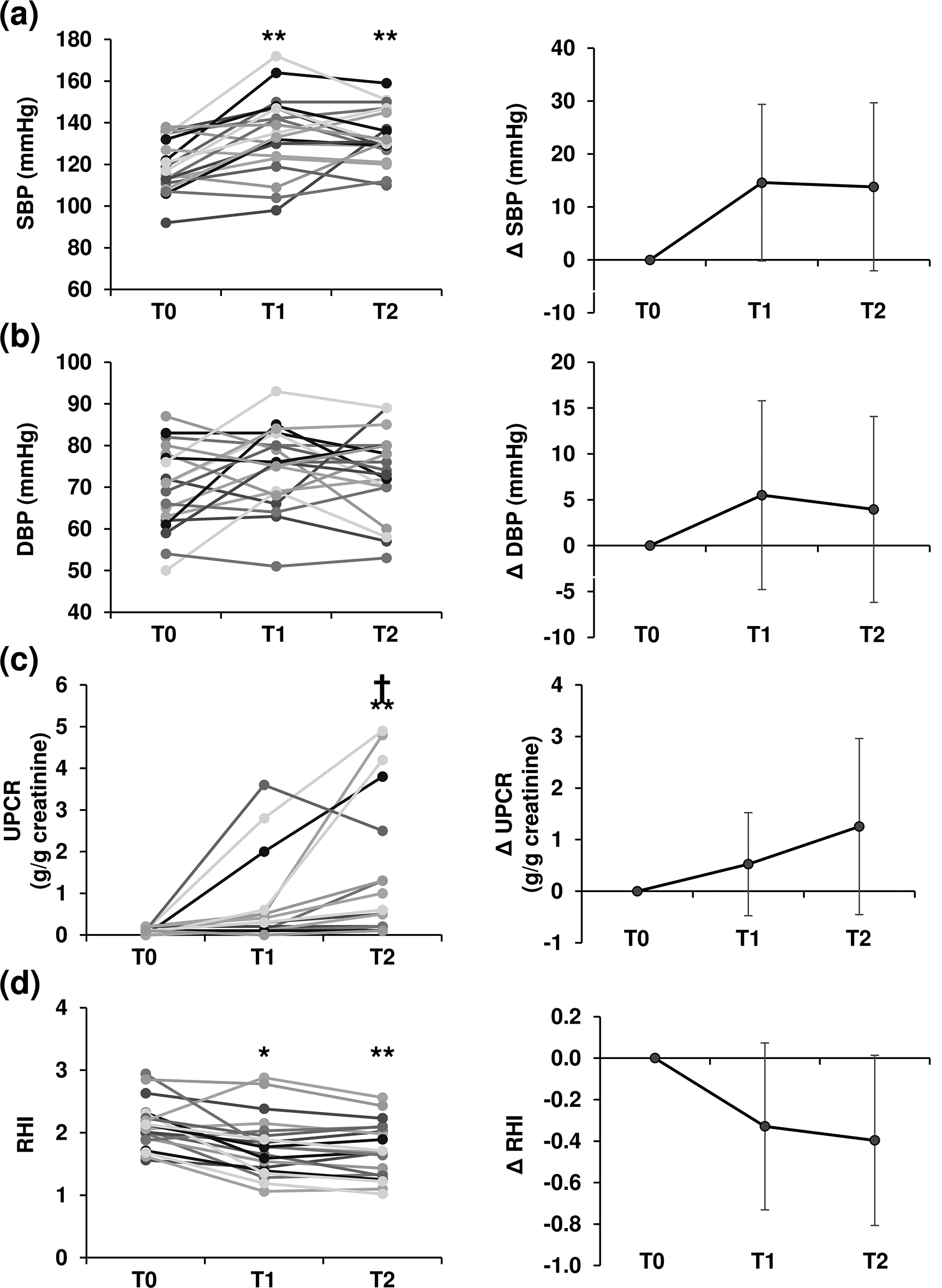 Potential role of endothelial dysfunction in hypertension and proteinuria in patients with hepatocellular carcinoma receiving atezolizumab plus bevacizumab: a pilot prospective observational study