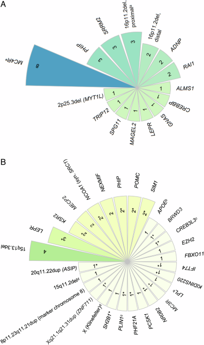 Detecting monogenic obesity: a systematic exome-wide workup of over 500 individuals