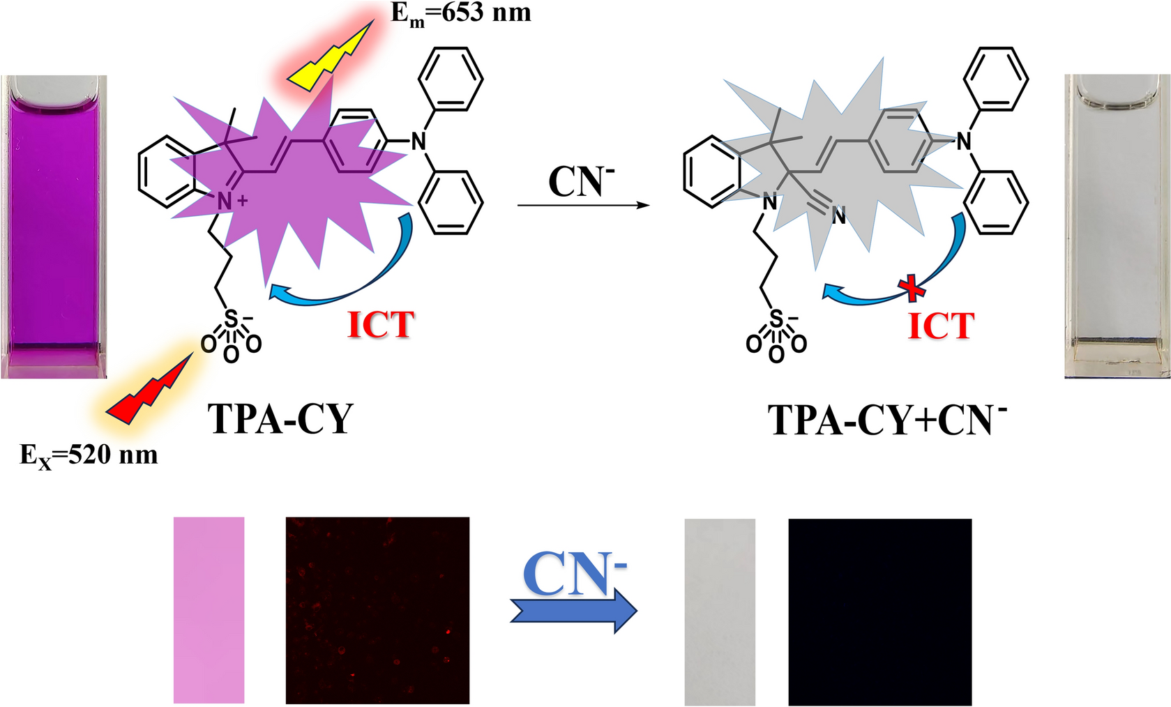 A NIR dual-channel fluorescent probe for the detection of cyanide in living cells