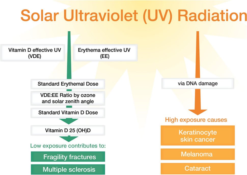Estimated health and economic effects associated with over- and under-exposure to solar ultraviolet radiation in Australia and New Zealand using the SUNEX simulation model