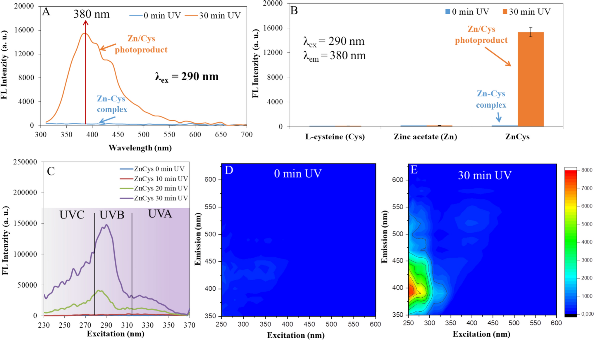 Enhanced UV-C resistance through light-activated zinc-cysteine complex formation