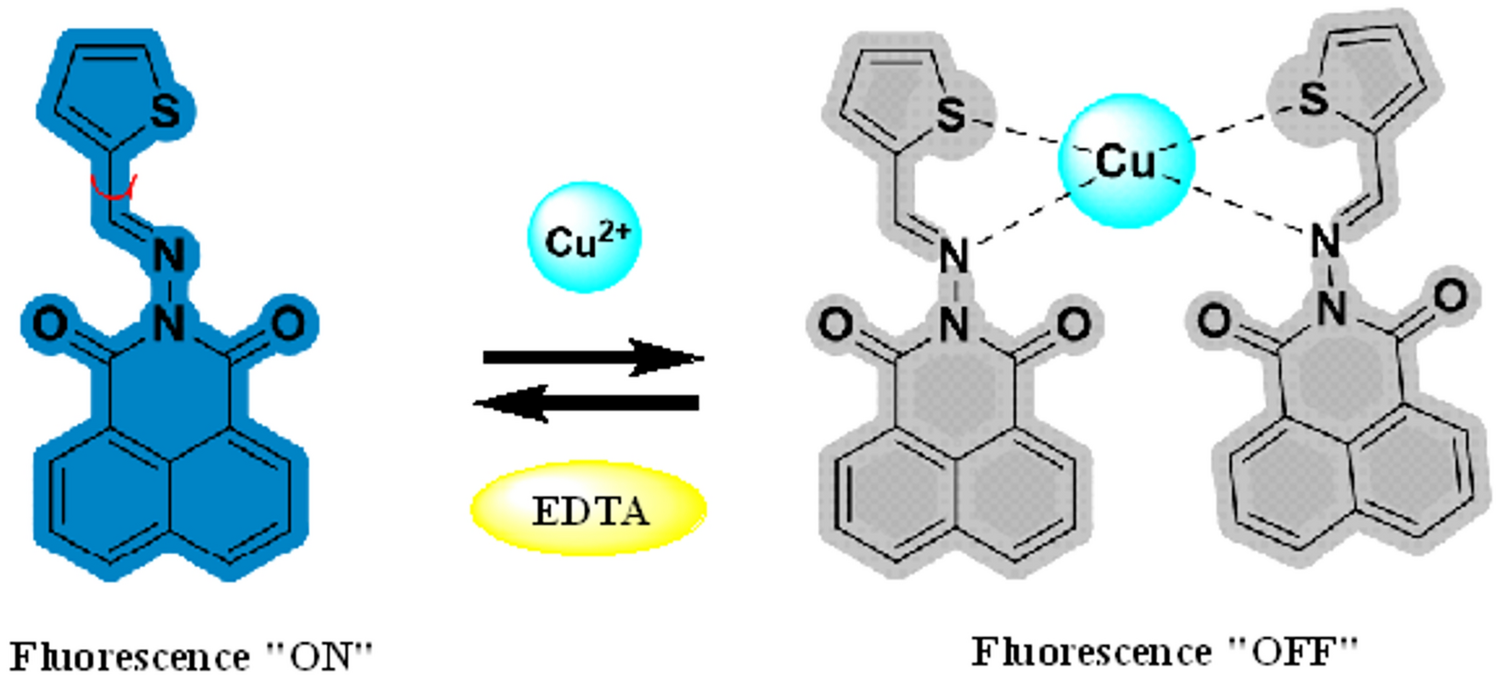 A fluorescent “turn-off” naphthalimide-derived Schiff base for sensing Cu ions: experimental and computational approach