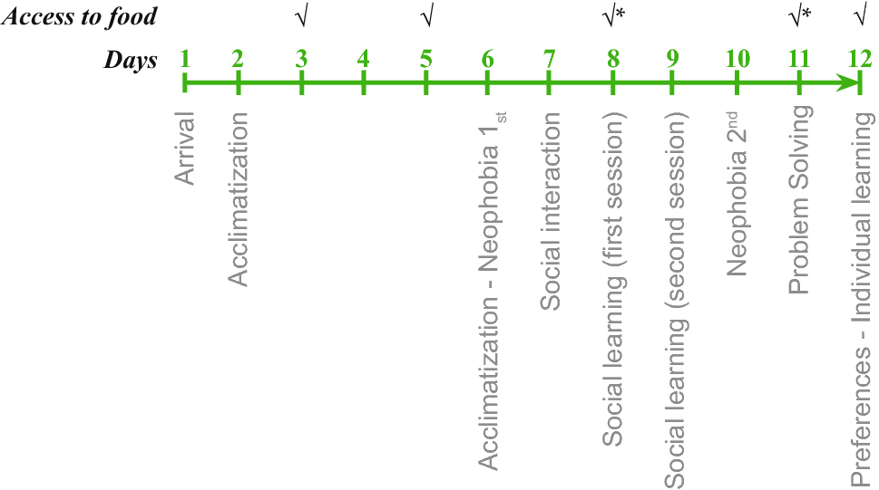 A standardized battery of tests to measure ’ behavioural performance