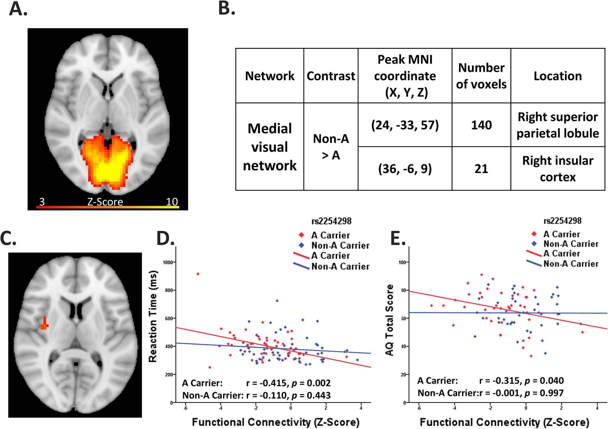 The interplay between functional connectivity of medial and lateral visual networks, behavioral measures, and oxytocin receptor gene polymorphism (rs2254298) in autism