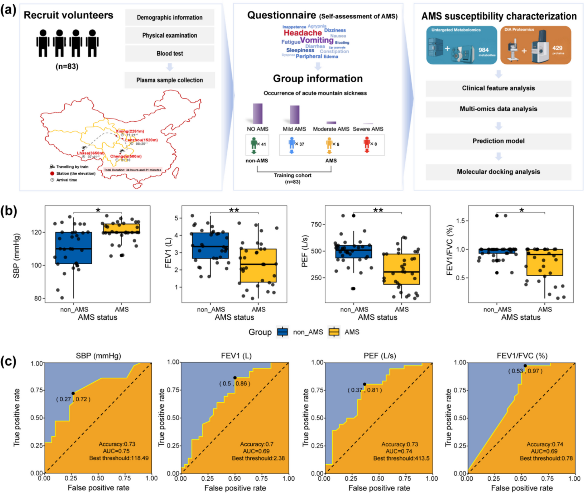 Acute mountain sickness prediction: a concerto of multidimensional phenotypic data and machine learning strategies in the framework of predictive, preventive, and personalized medicine