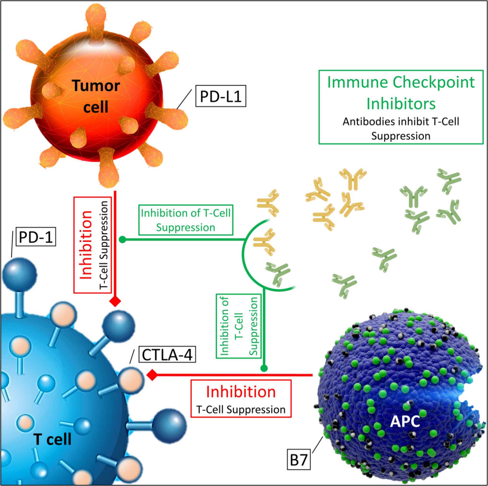 Monoclonal antibody immune therapy response instrument for stratification and cost-effective personalized approaches in 3PM-guided pan cancer management