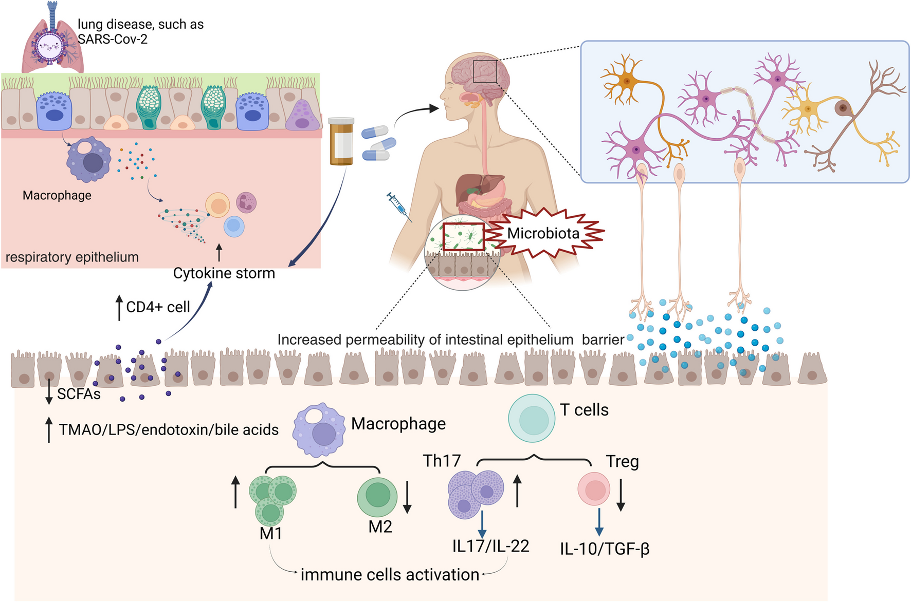 Characterization of the gut microbiota in drug abuse: prediction, prevention, and personalized medicine to benefit affected populations