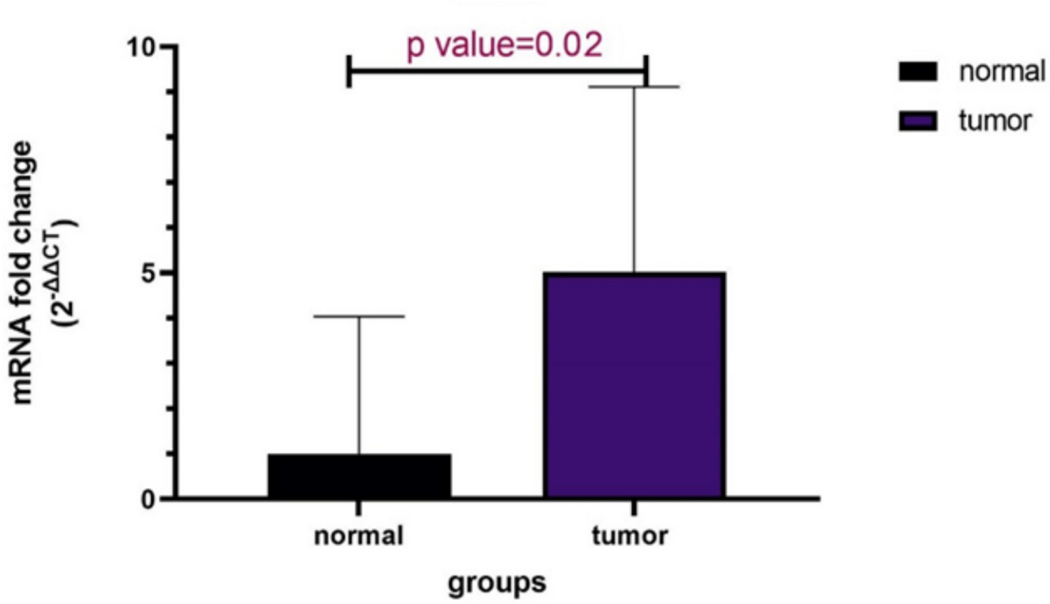 Overexpression of adenosine receptor (A1, A2a, A2b, A3) genes in esophageal tumor tissue: A2b adenosine receptor as a potential biomarker and anticancer target