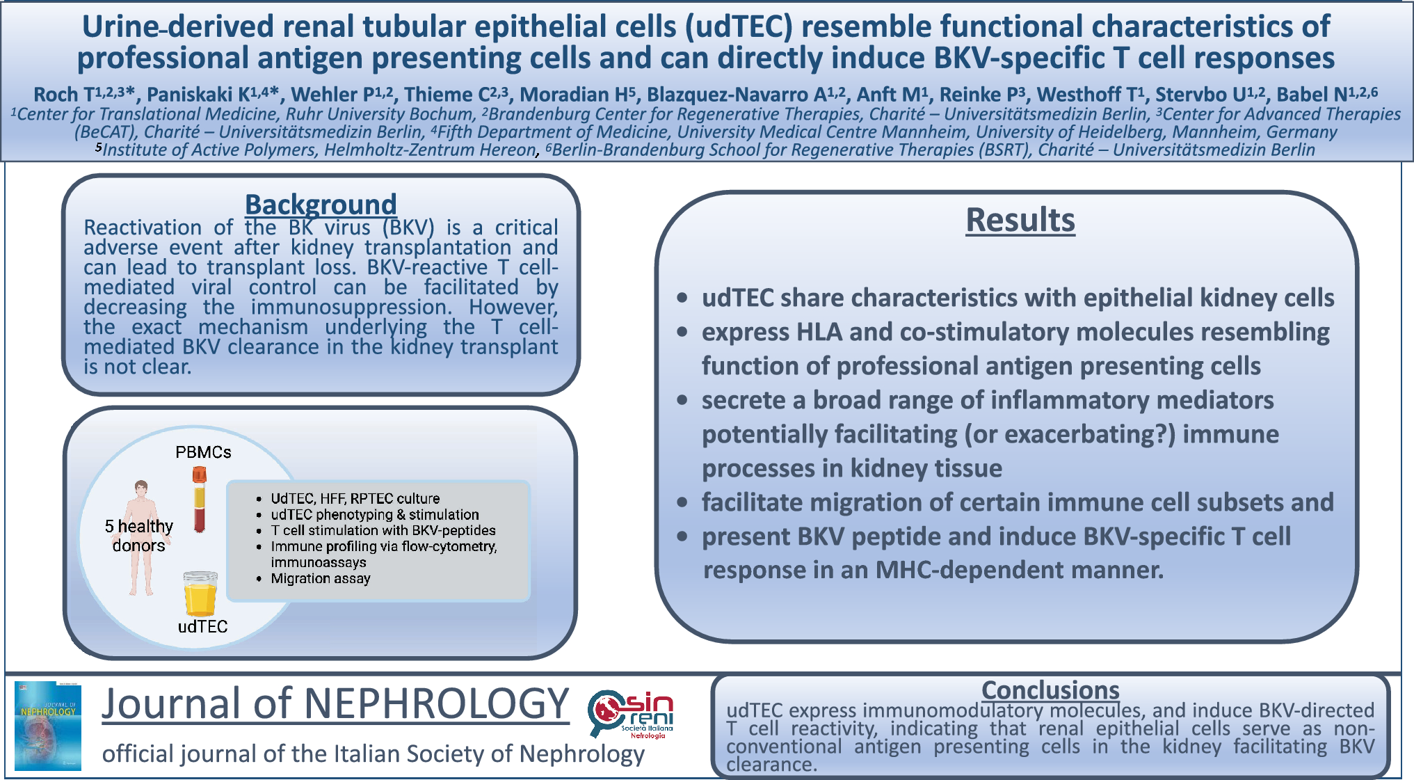 Urine-derived renal tubular epithelial cells resemble functional characteristics of professional antigen-presenting cells and can directly induce BKV-specific T cell responses