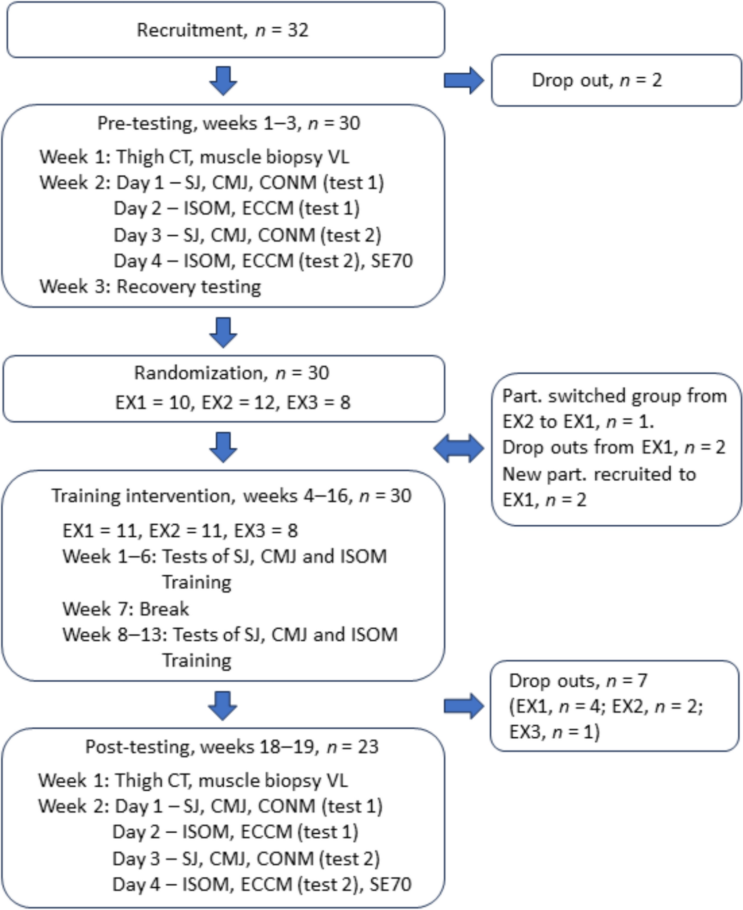 One, two, or three times a week? examining the optimal frequency for strength and muscle growth in accentuated eccentric exercise
