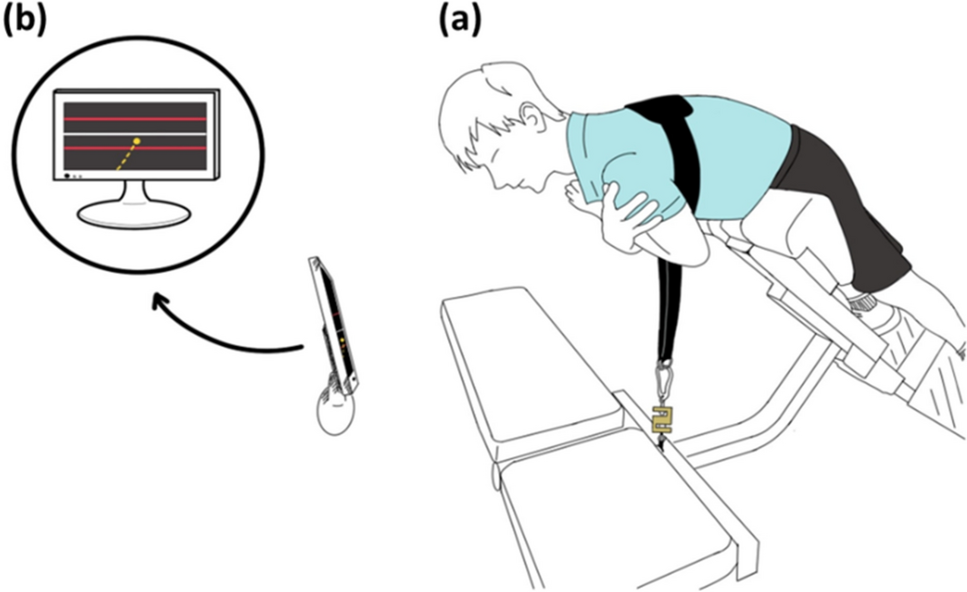 Fatigue-induced alterations in the spatial distribution of lumbar erector spinae activity in older versus young adults