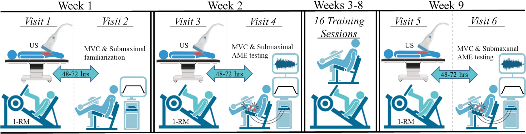 The influence of high-load and combined high- and low-load resistance training on electromyographic behavior during an absolute muscular endurance task