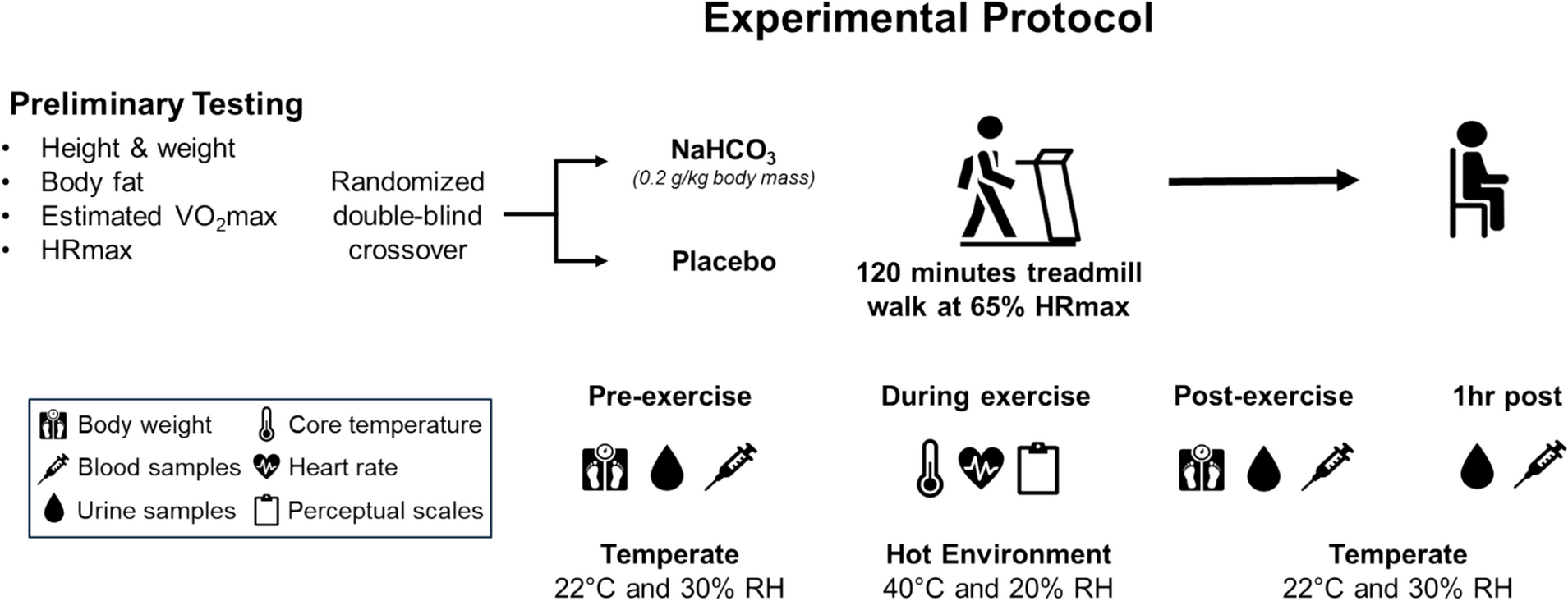 Acute sodium bicarbonate supplementation reduces the increase in markers of acute kidney injury during physical work in the heat