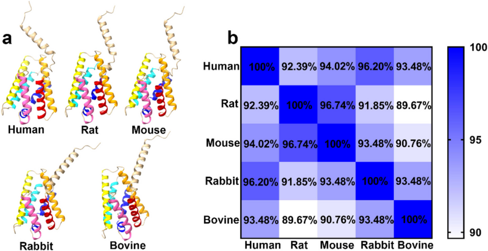 TIPE2: a novel regulatory factor for cardiovascular-related diseases