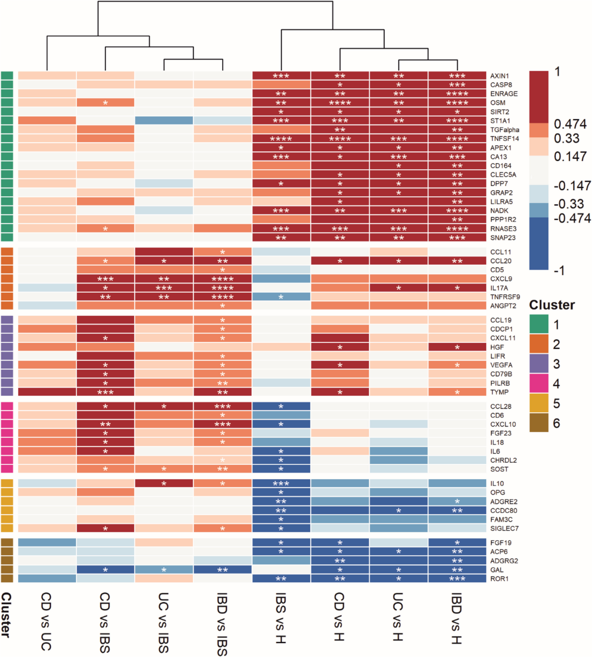 Serum proteins and faecal microbiota as potential biomarkers in newly diagnosed, treatment-naïve inflammatory bowel disease and irritable bowel syndrome patients