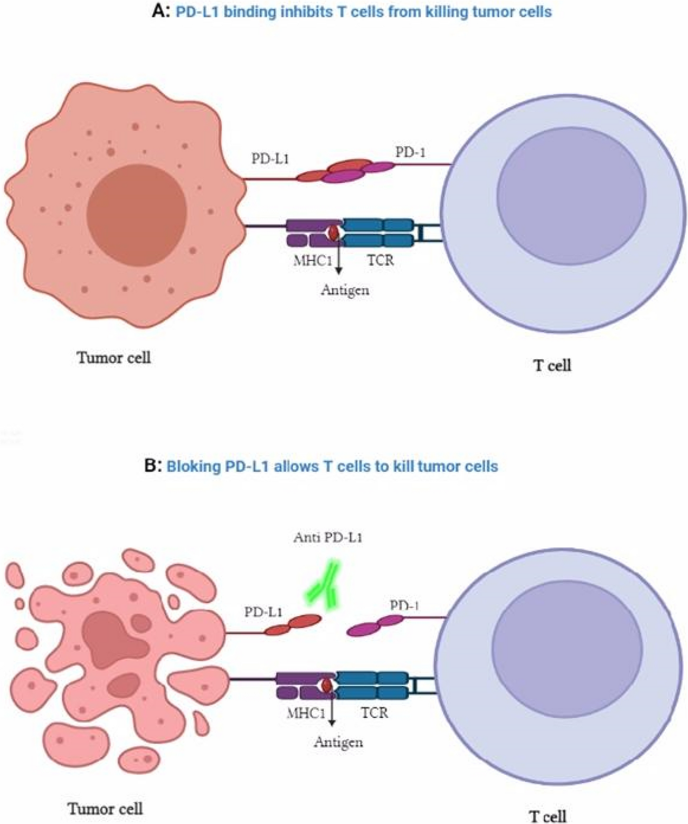 Immunotherapy for triple-negative breast cancer: current trends and future prospects
