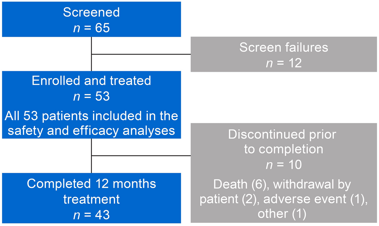 Safety and Efficacy of Tafamidis in Chinese Patients with Transthyretin Amyloid Cardiomyopathy