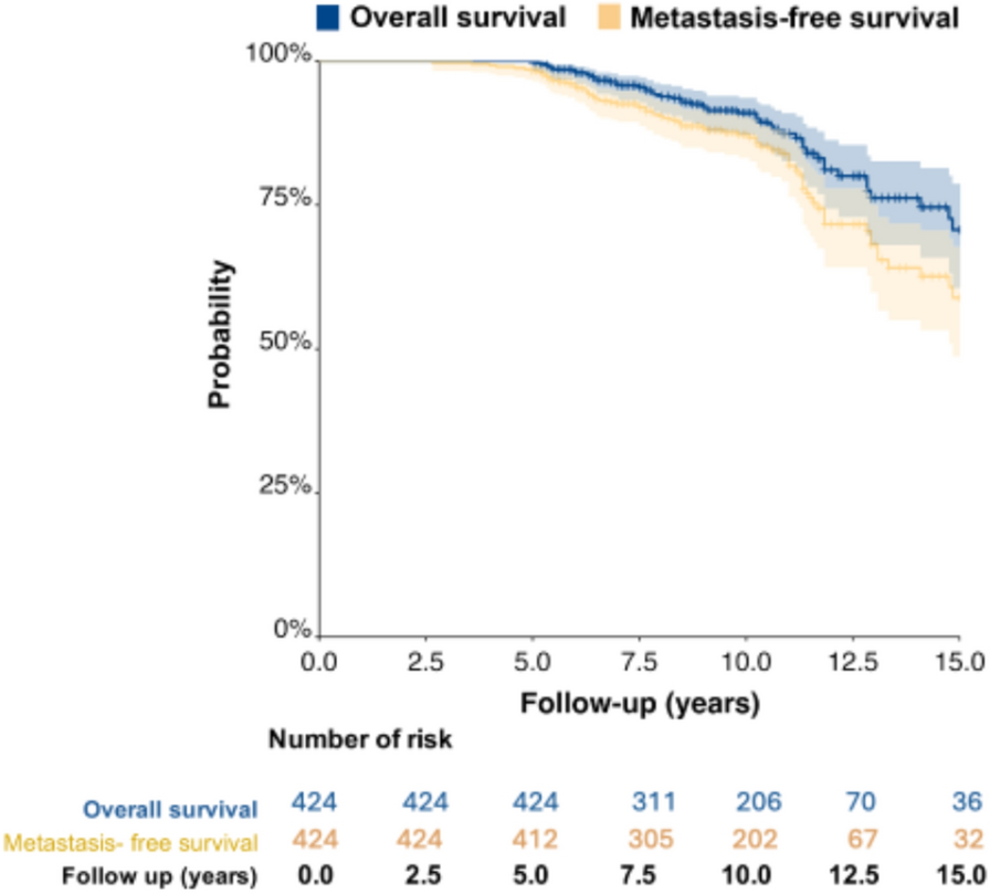 Risk-adapted intensification therapy in high-risk prostate cancer: how relevant is the role of radiation dose