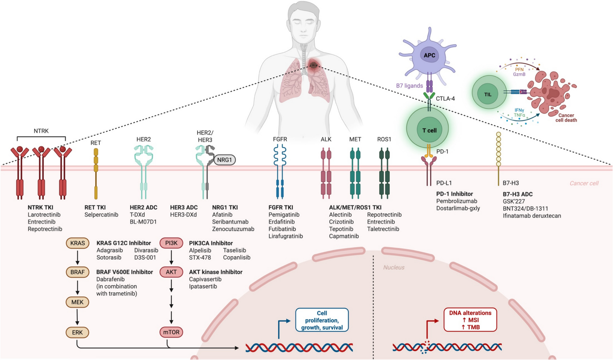 Tissue-agnostic biomarkers in solid tumors: current approvals and emerging candidates