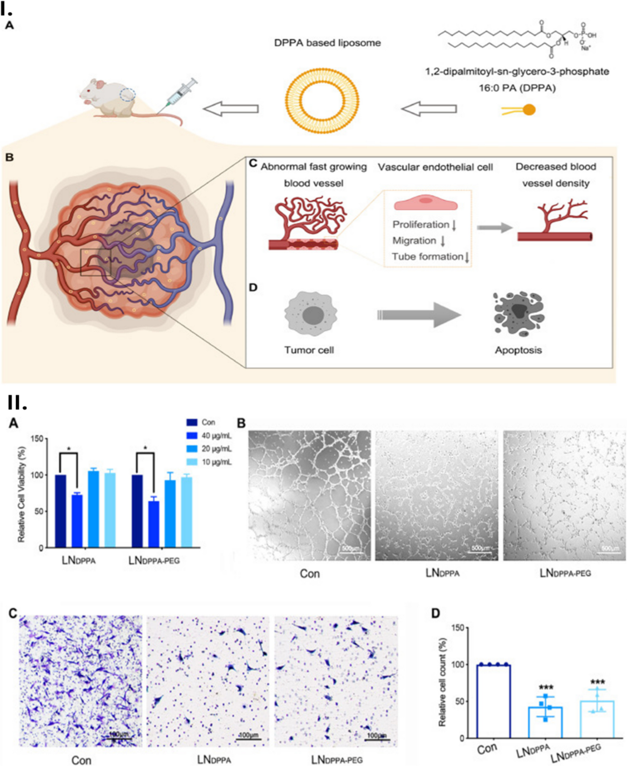 Nanomaterials in cancer starvation therapy: pioneering advances, therapeutic potential, and clinical challenges