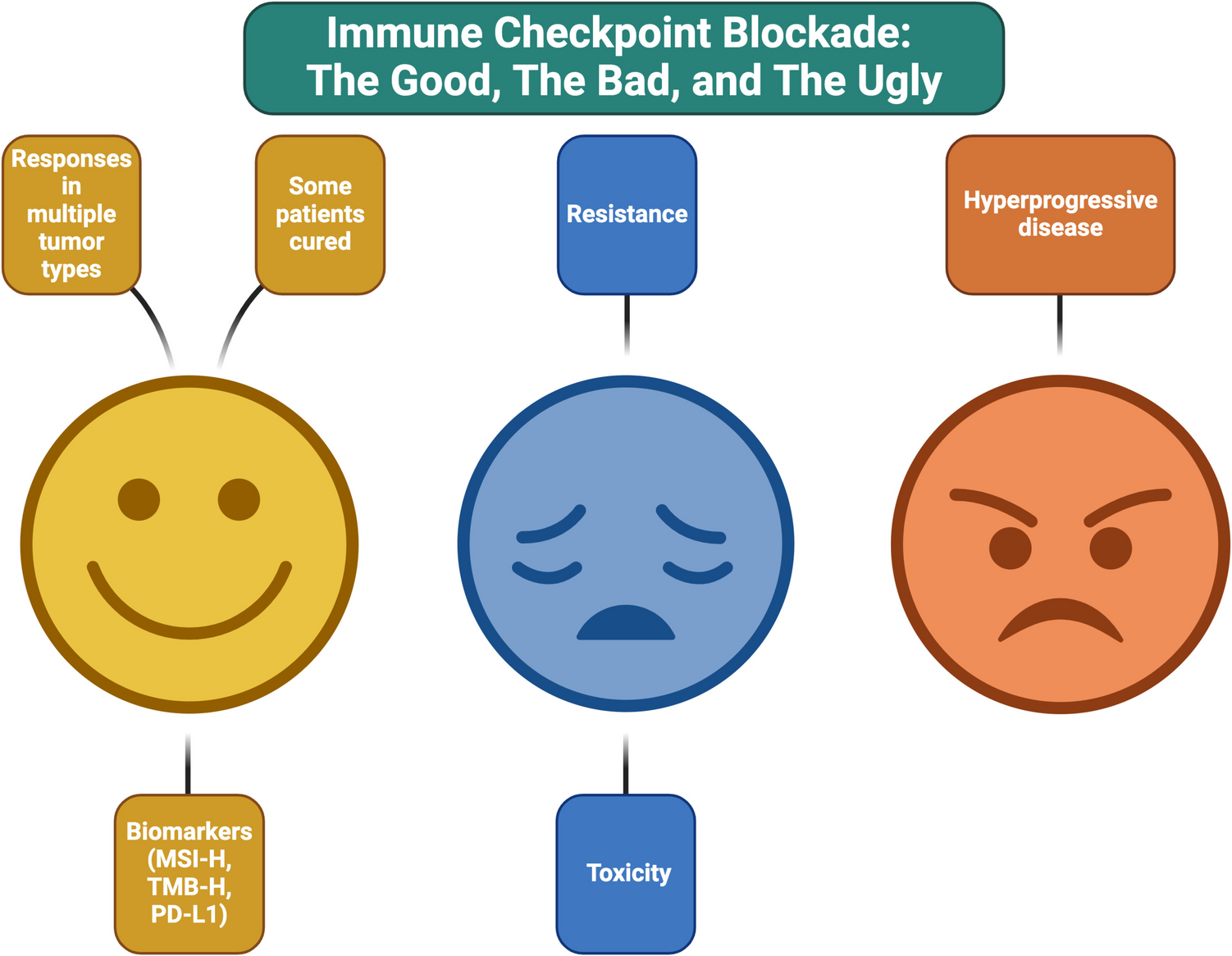 Lessons learned from a decade of immune checkpoint inhibition: The good, the bad, and the ugly