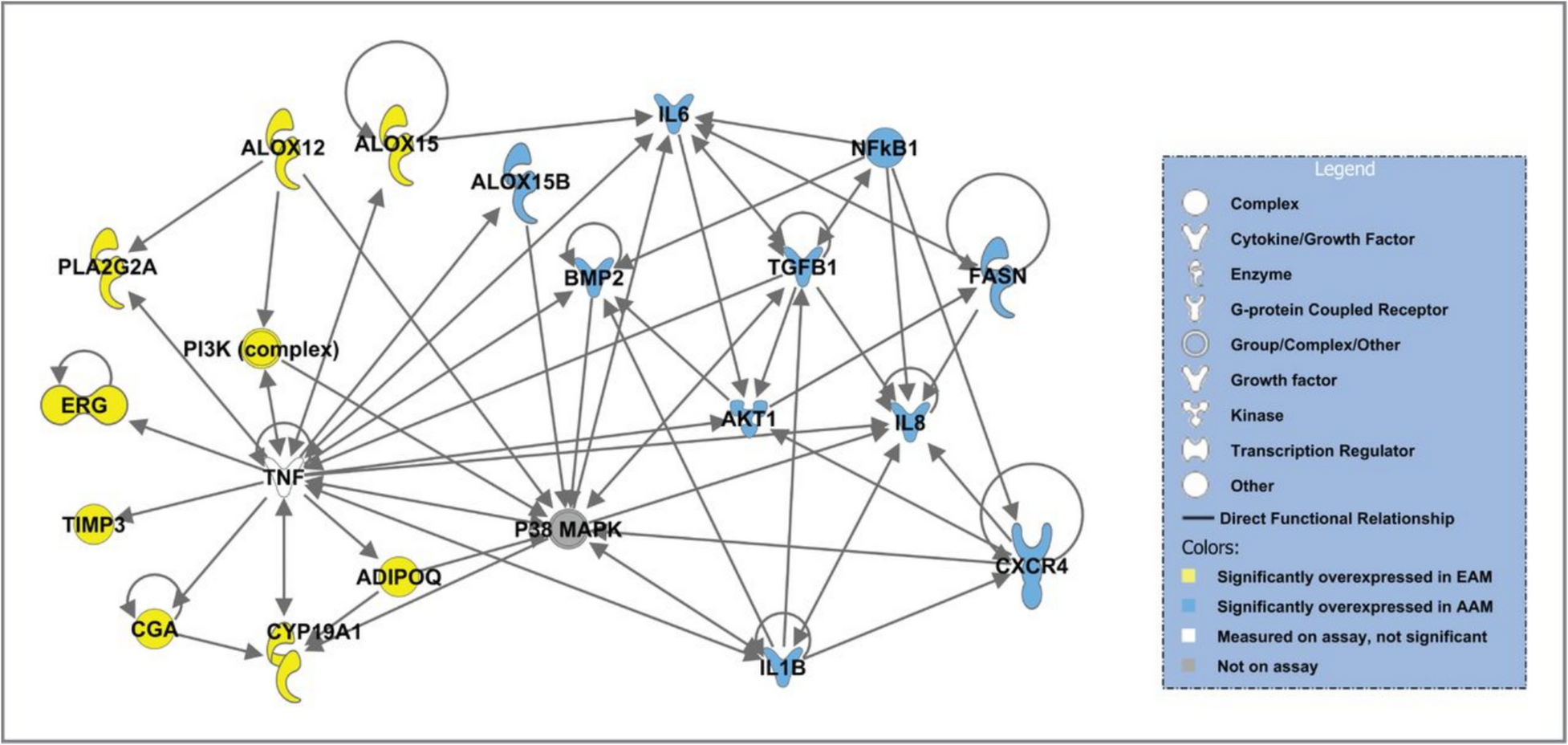 Prostate cancer-specific proinflammatory cytokines and chemokines impact on cancer stem cell development, lineage plasticity and heterogeneity in an Ancestral/racially diverse population: review