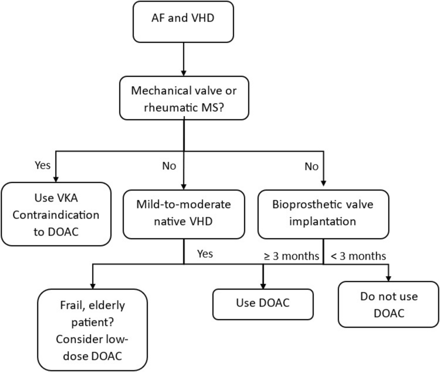 Direct Oral Anticoagulants in Valvular Diseases and Prosthetic Valves: Why Not?