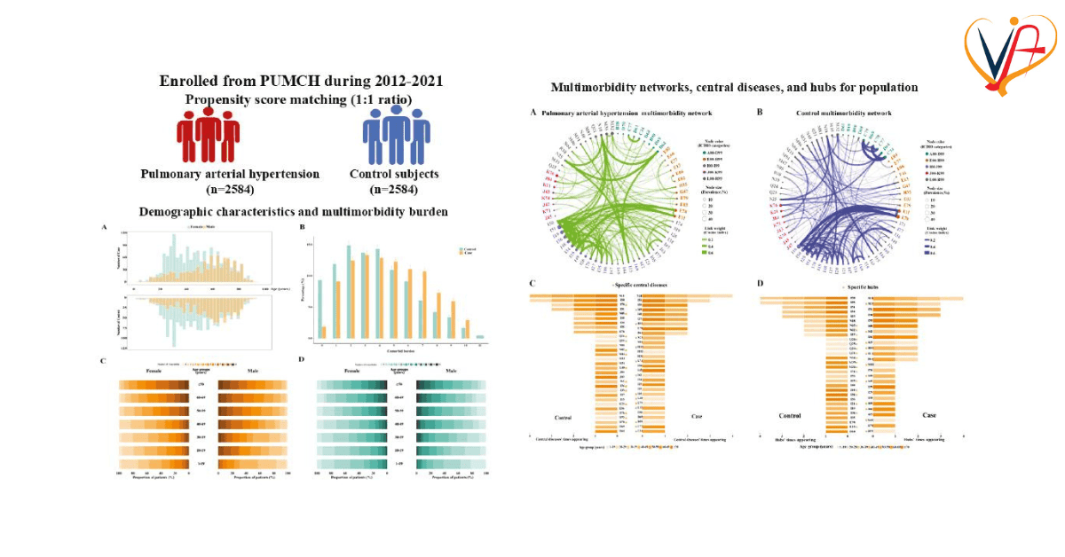 Multimorbidity Patterns in Patients with Pulmonary Arterial Hypertension Identified Through Hospital Discharge Records: A Network-Based Analysis