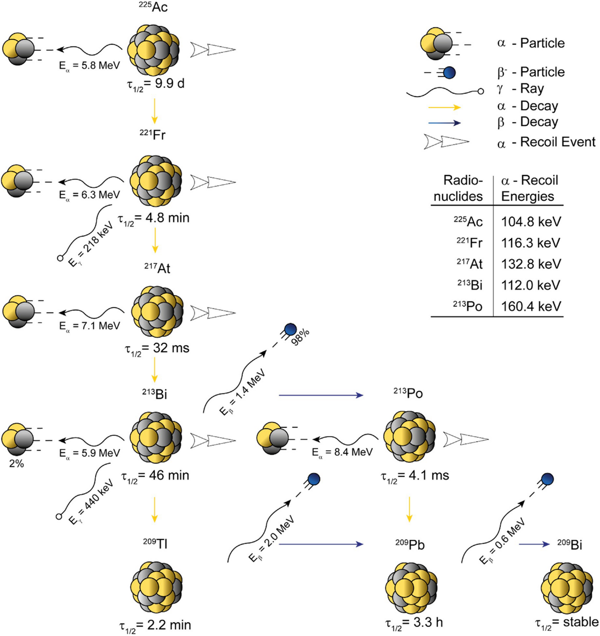 Biodistribution of free Francium-221 and Bismuth-213 in Tumour-bearing SCID mice after successful development of Actinium-225/Francium-221 radionuclide generator Set-up
