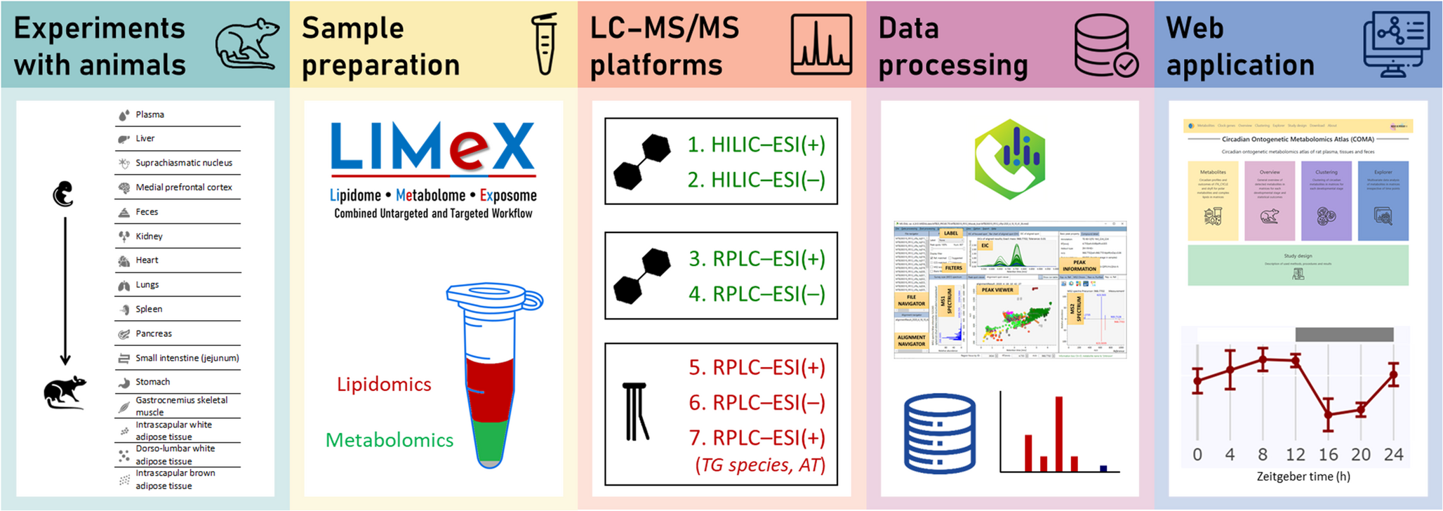 Circadian ontogenetic metabolomics atlas: an interactive resource with insights from rat plasma, tissues, and feces
