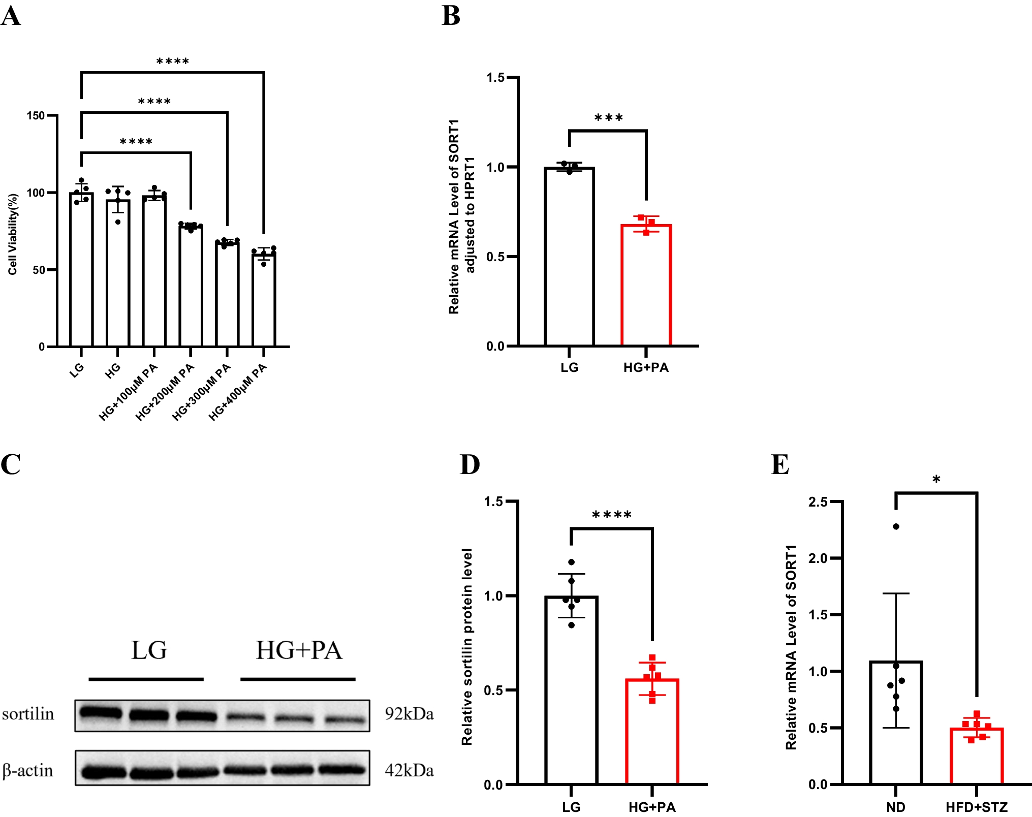 Dapagliflozin alleviates mitochondrial damage in the myocardium under diabetic conditions by targeting sortilin