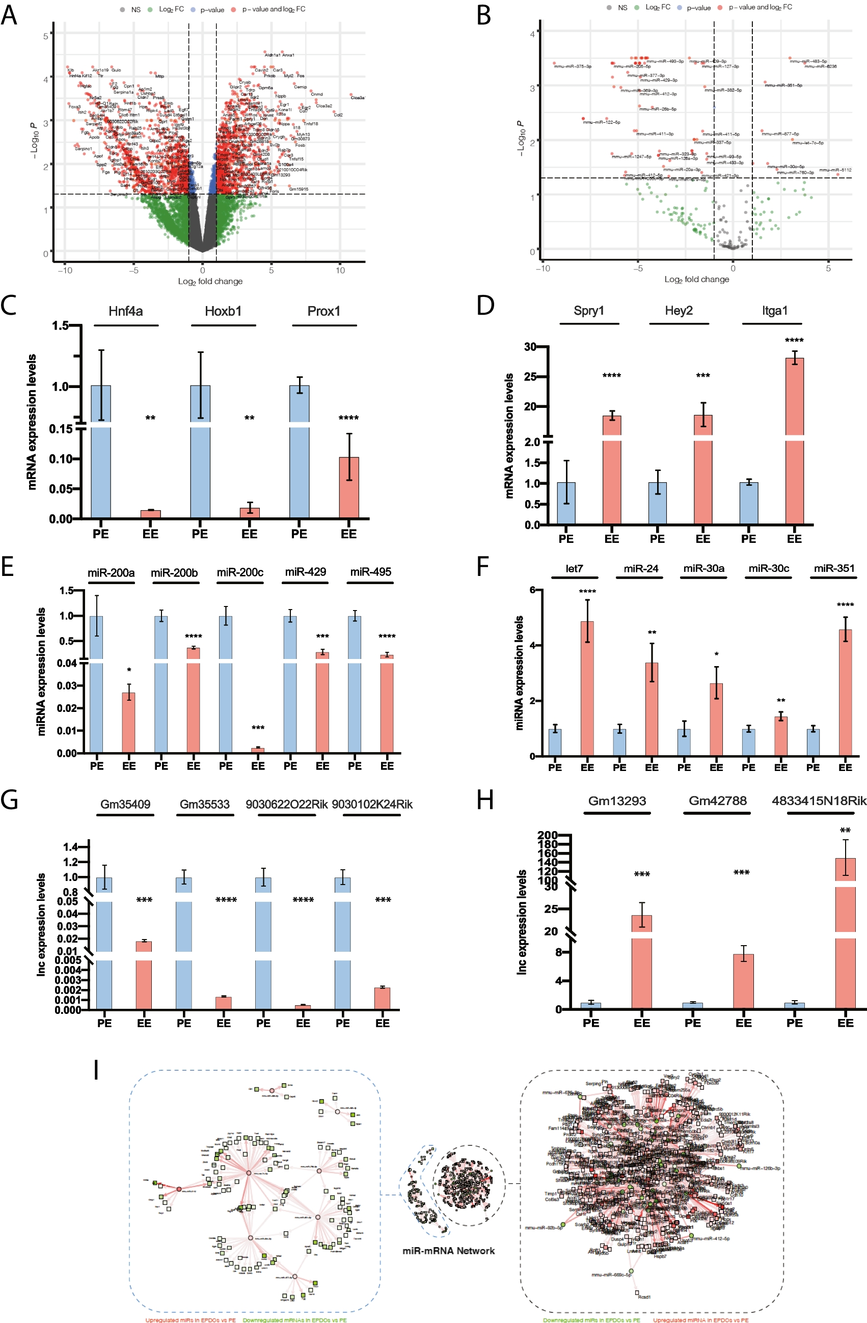 -mediated co-regulation of  and  modulates epicardial cell migration and myocardial specification