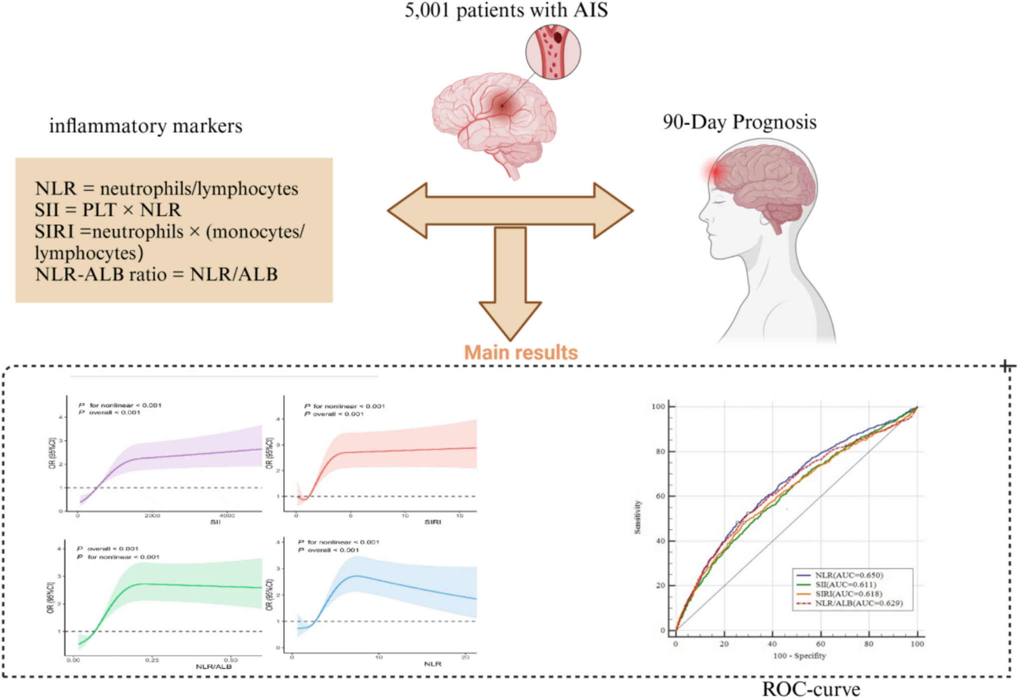 Correlation Between NLR to Albumin Ratio and 90-day Prognosis After Treatment for Acute Ischemic Stroke