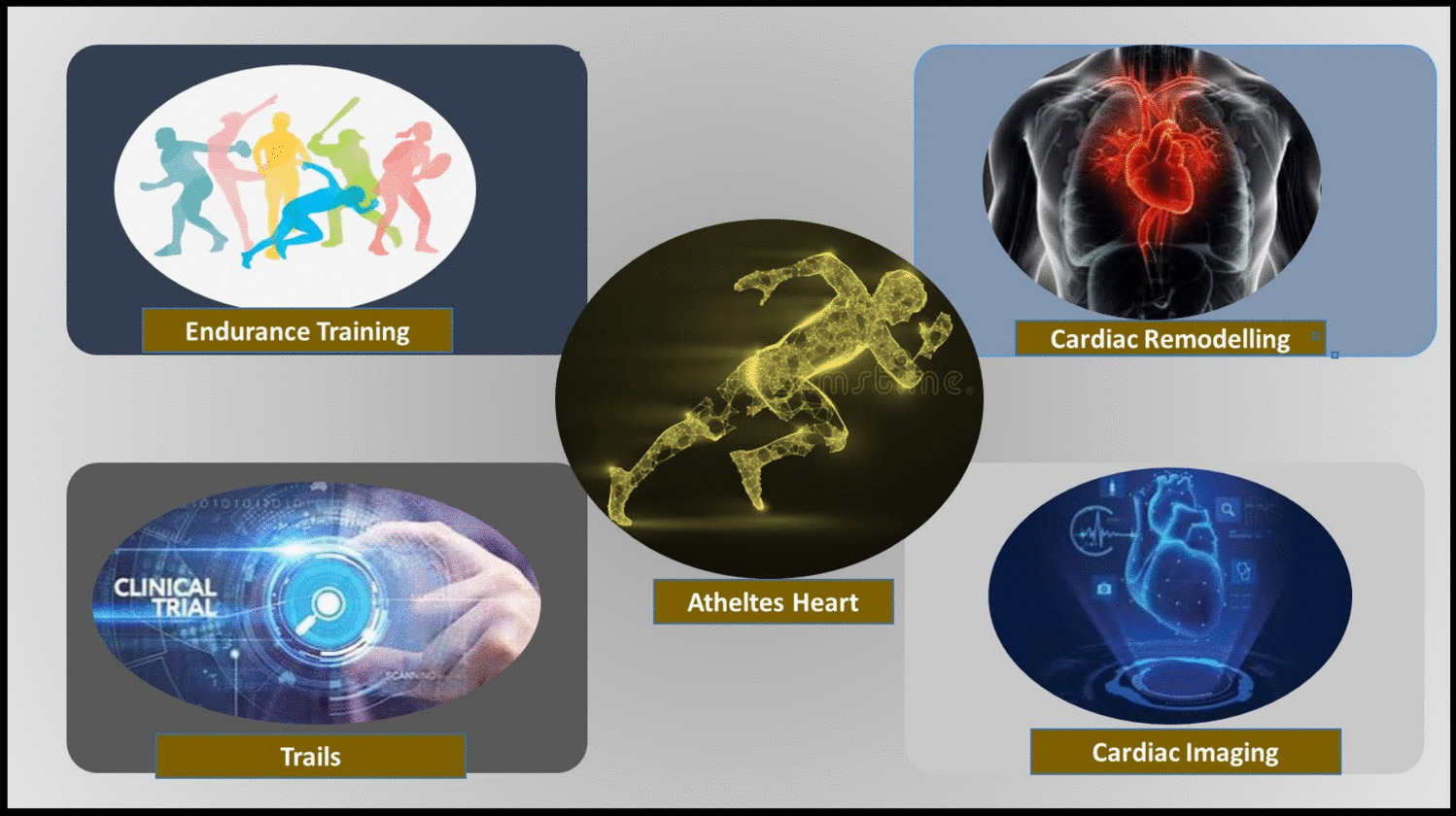 Distinct Myocardial Remodelling Profiles in Athletes: A Comparative Analysis Across Sporting Disciplines