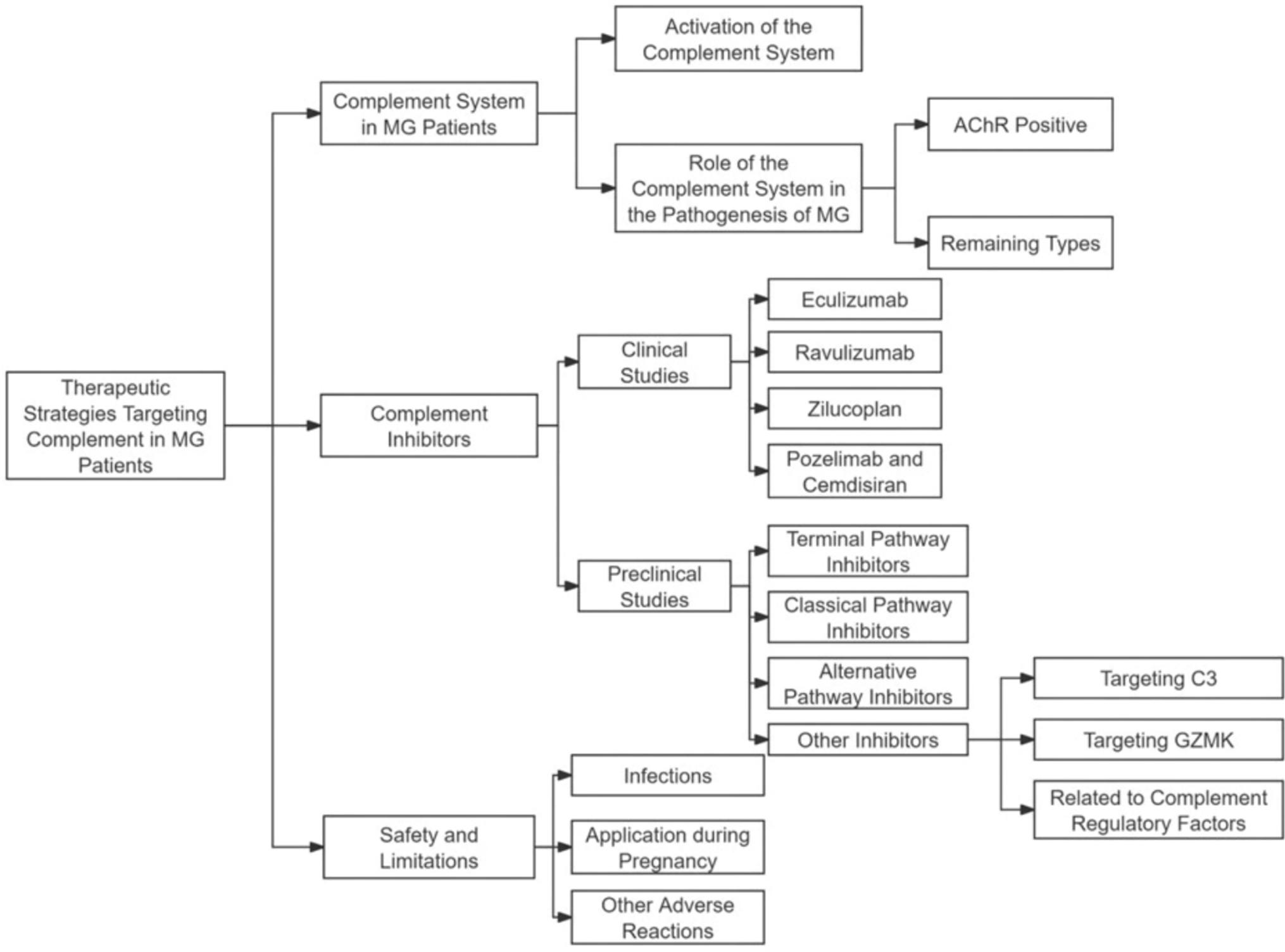 Therapeutic strategies targeting complement in myasthenia gravis patients