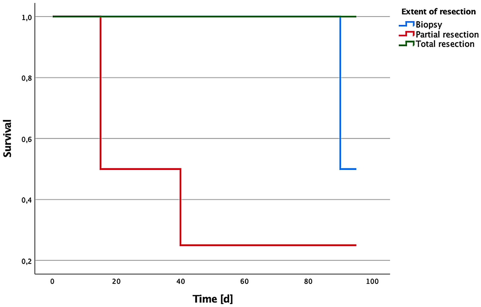 Beyond surgical radicality in intramedullary spinal cord metastases: neurological function and systemic disease burden drive patient outcomes