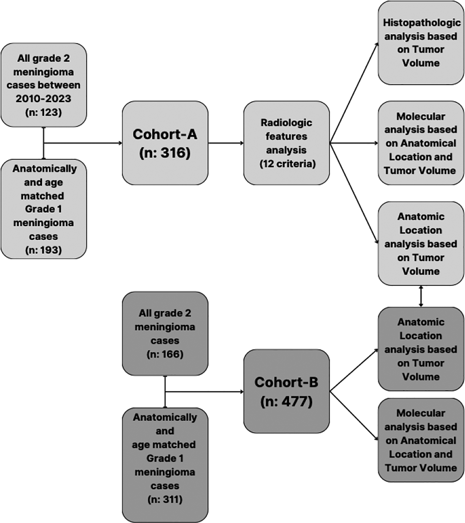 Posterior parasagittal meningiomas display aggressive features independent of size: a multicenter analysis