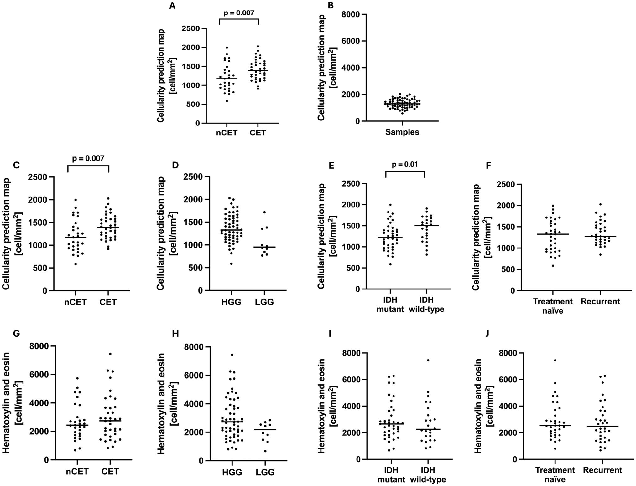 Independent histological validation of MR-derived radio-pathomic maps of tumor cell density using image-guided biopsies in human brain tumors