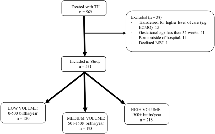 Association of low hospital birth volume and adverse short-term outcomes for neonates treated with therapeutic hypothermia in rural states