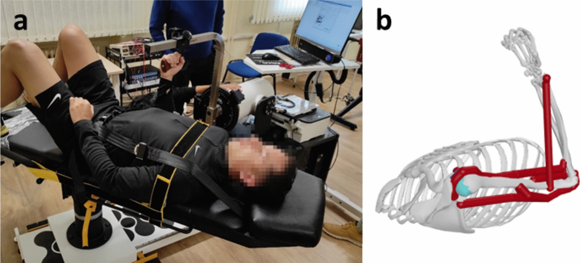 Comparison of subject-specific musculoskeletal model calibration strategies on muscle force and fatigue estimation