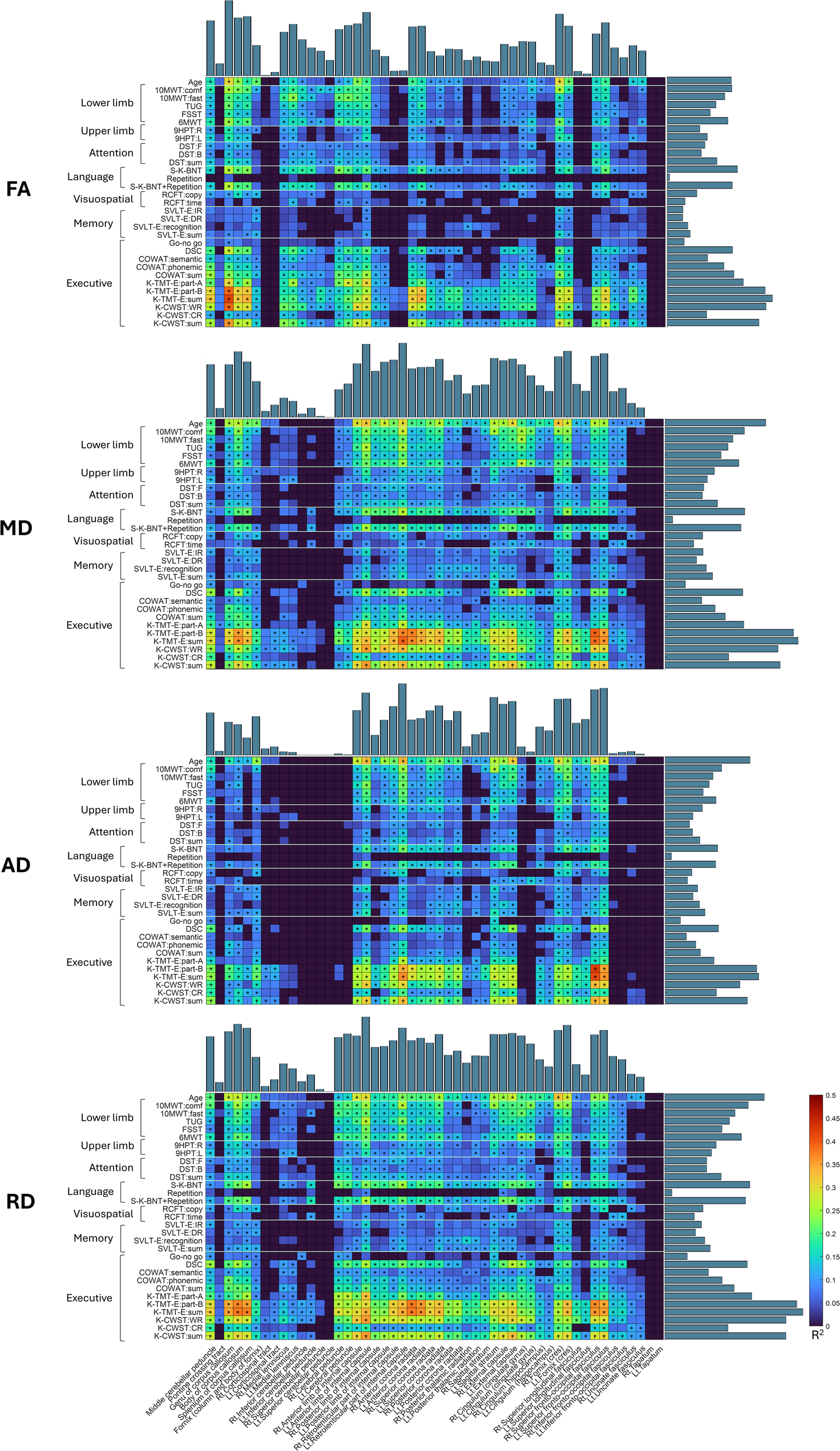 Diffusion tensor imaging biomarkers for assessing cognitive and physical function in aging