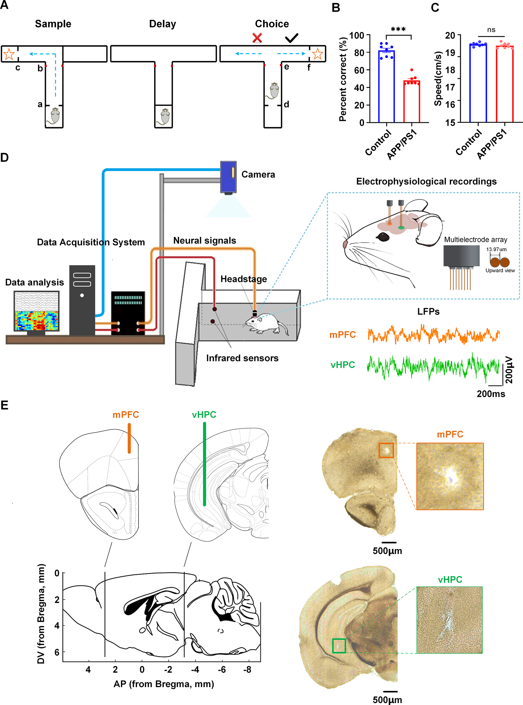 Impaired theta and low-gamma directed information flow in the hippocampal-prefrontal circuit underlies working memory deficits in APP/PS1 mice