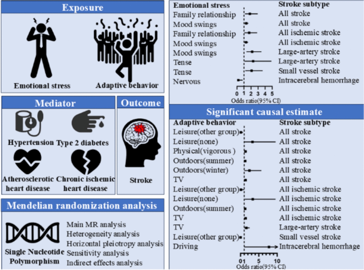 Association of Emotional Stress and Adaptive Behavior with Stroke Risk: A Mendelian Randomization Study