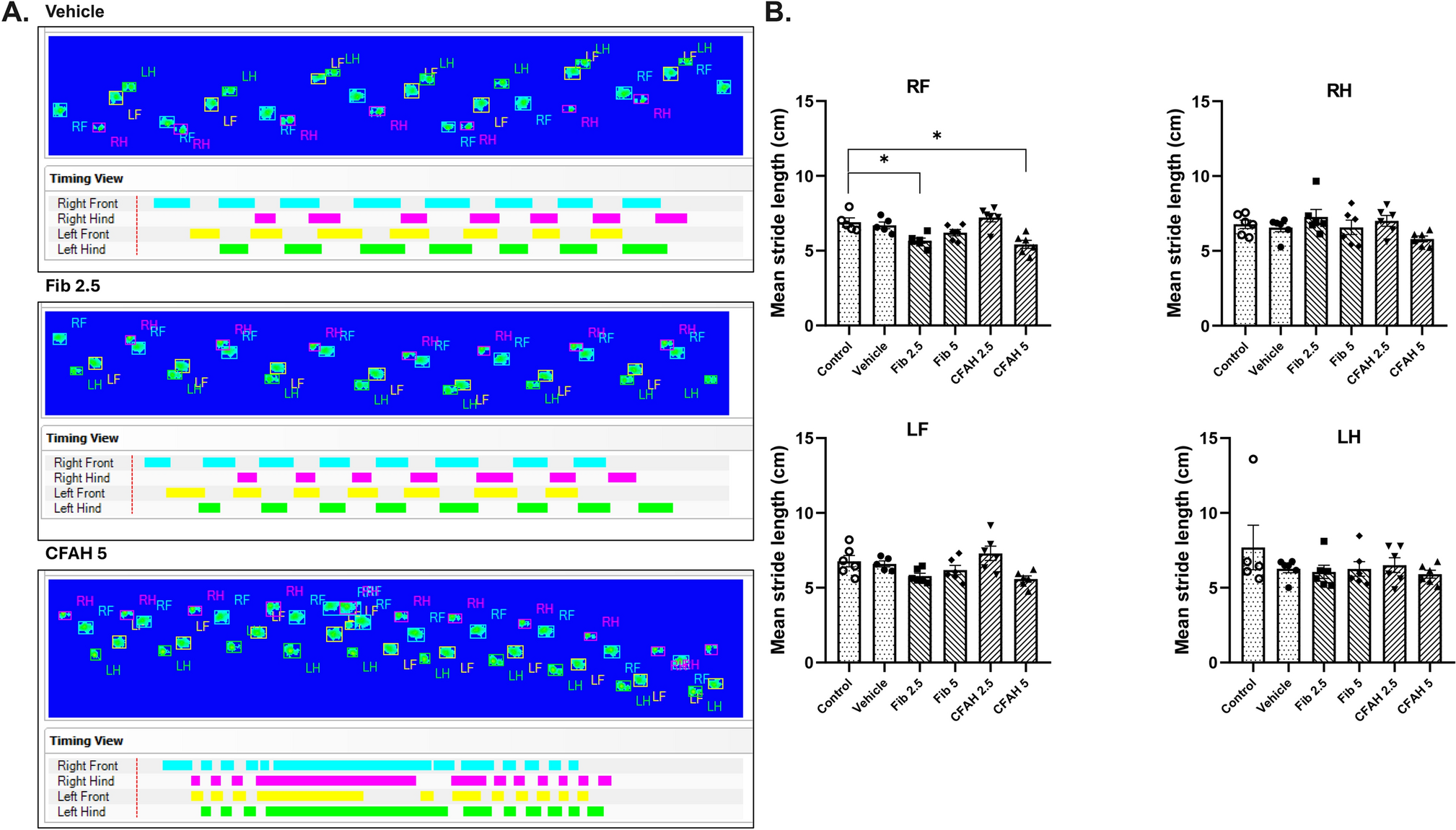 Fibrinogen and Complement Factor H Induce Parkinsonian and Cognitive Impairment-Like Features in Mice